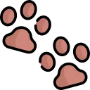 View dog daycare services.